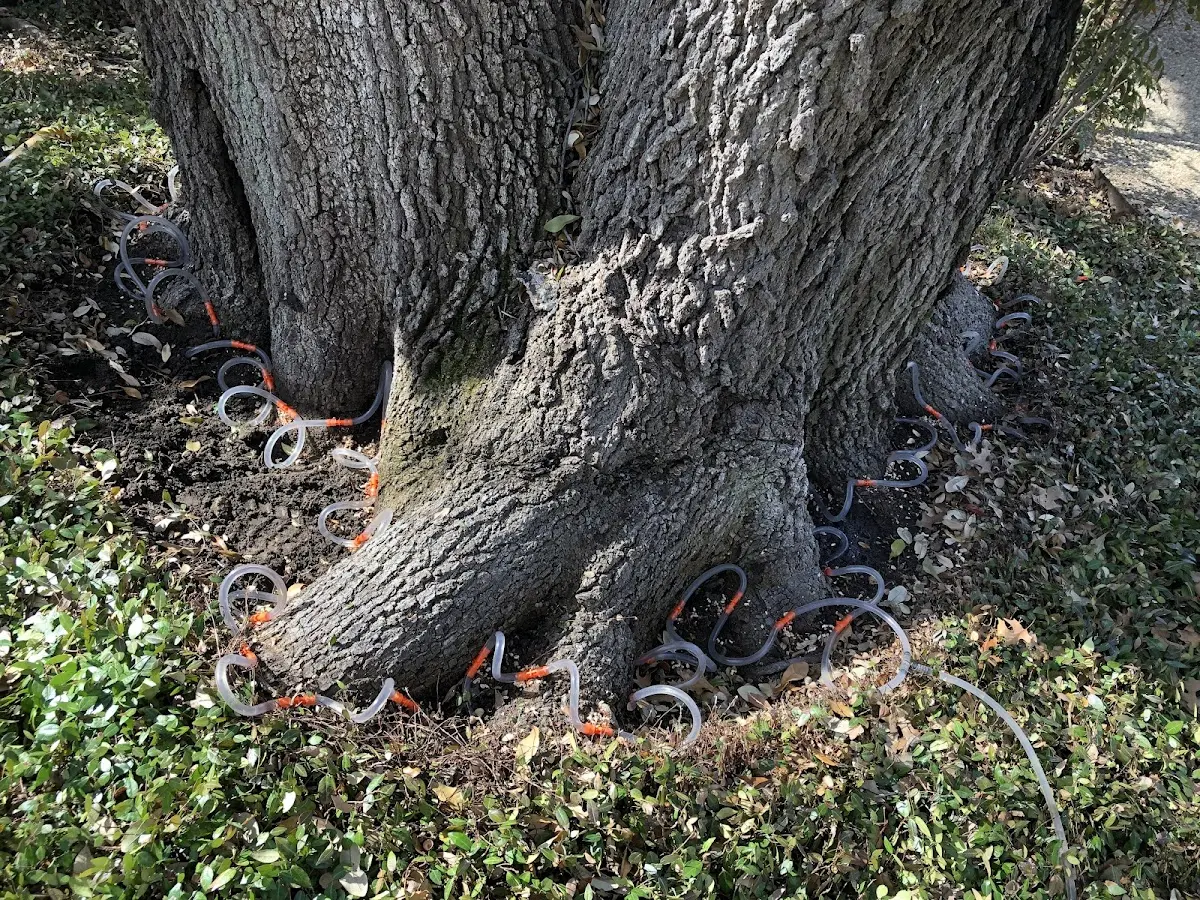Detailed Shrub and Hedge Trimming job site in Karnack