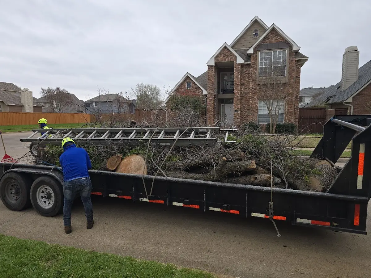 Expert Tree Fertilization with proper safety equipment in Karnack